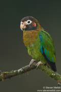 COSTA RICA